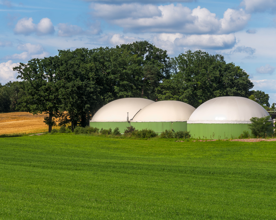 alternative-energy-with-bio-technology-2023-11-27-05-36-07-utc